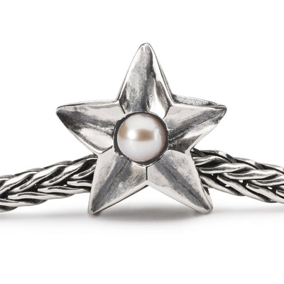 Pisces Star Bead